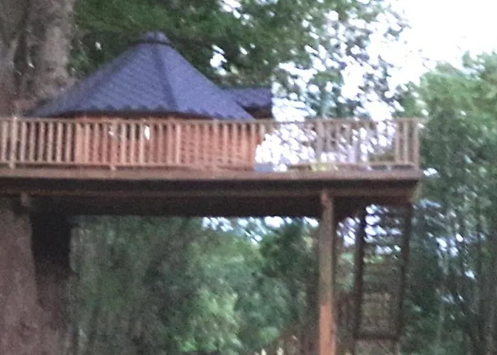 Cabane Dans Les Arbres