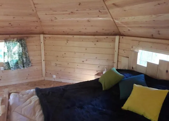 Cabane Dans Les Arbres