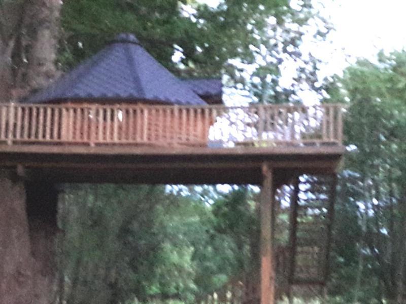 Campsite Dans Les Arbres